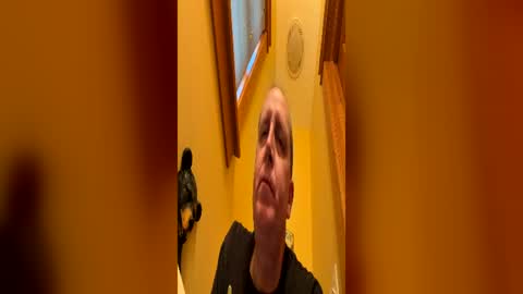 16510 online show from 13, 6, 2026