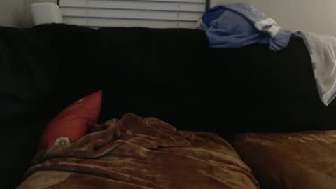 Snapshot of 18str8igcock chatting on 21, 2, 2025 18str8igcock online show from 21, 2, 2025