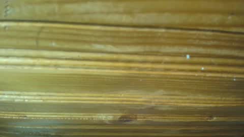 Carl the good girl online show from 21, 2, 2025