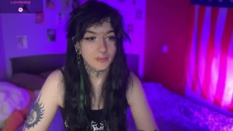 Teya online show from 28, 6, 2026
