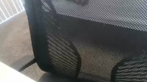 1chris505 online show from 2, 1, 2025