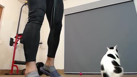 1manshow11 online show from 17, 11, 2025