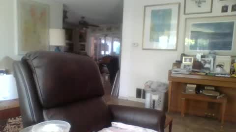 Snapshot of 1milkman2000 chatting on 15, 6, 2026 milkman online show from 15, 6, 2026