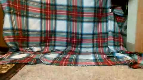420_letsdoit online show from 20, 5, 2026