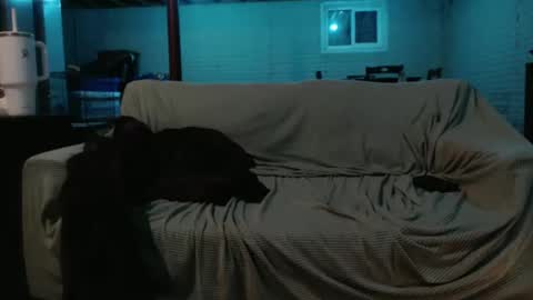 420bunnie online show from 26, 2, 2025