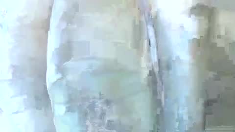 Daddy online show from 1, 12, 2025