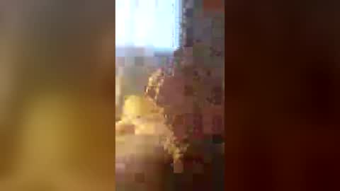 Zeus online show from 10, 7, 2026