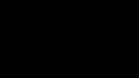 SHANNON online show from 11, 12, 2024