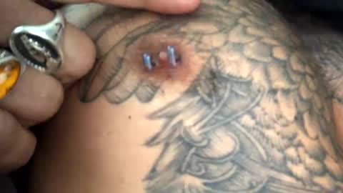 6990fiko online show from 18, 2, 2025