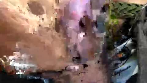 6990fiko online show from 29, 9, 2025