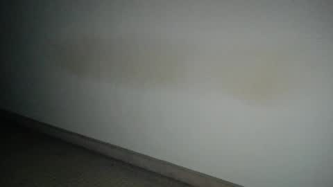 69___pas online show from 12, 12, 2024