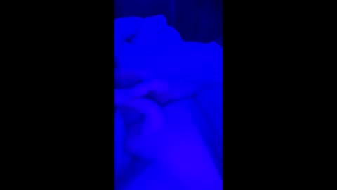 69vz69 online show from 27, 3, 2026