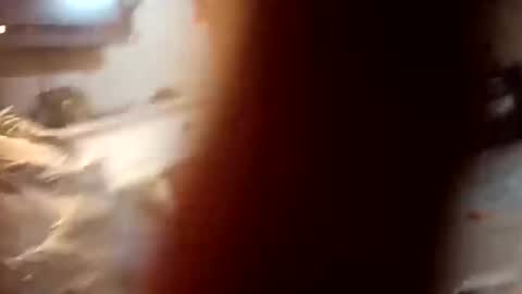 Snapshot of 7lairddip chatting on 6, 10, 2025 7lairddip online show from 6, 10, 2025