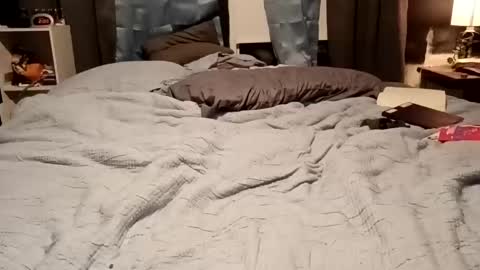 Snapshot of 7lairddip chatting on 15, 2, 2026 7lairddip online show from 15, 2, 2026