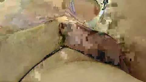 Snapshot of 8385 chatting on 3, 3, 2025 8385 online show from 3, 3, 2025