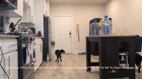 Snapshot of 888lucky chatting on 14, 2, 2026 888lucky online show from 14, 2, 2026