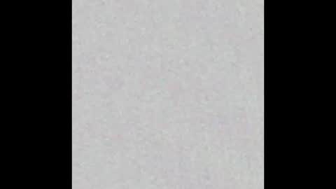 8Inchpunkpup online show from 24, 9, 2025