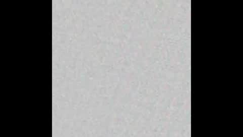 8Inchpunkpup online show from 27, 3, 2026