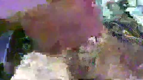 99zeus9 online show from 15, 1, 2025