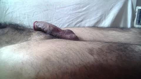 Massive hungry cock online show from 23, 4, 2026