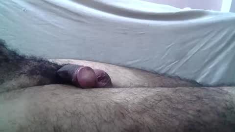 Massive hungry cock online show from 19, 7, 2026