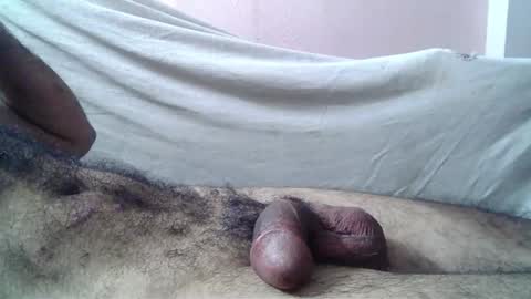 Massive hungry cock online show from 25, 7, 2026