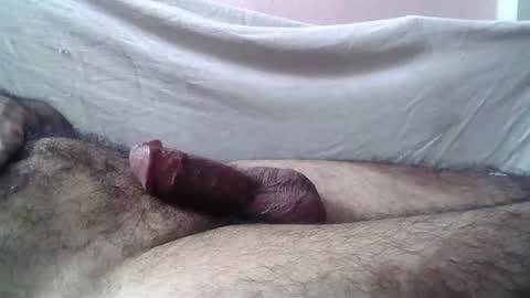 Massive hungry cock online show from 28, 7, 2026