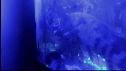 Snapshot of _always__horny chatting on 29, 10, 2025 Giulia...... online show from 29, 10, 2025