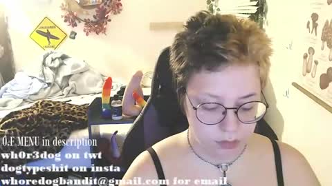 bandit online show from 28, 7, 2026