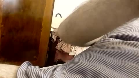 _black_horse_1 online show from 24, 1, 2025