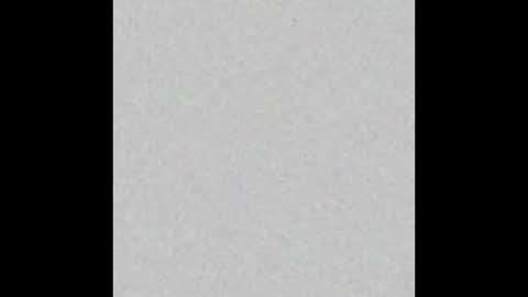 Brenda online show from 8, 10, 2025