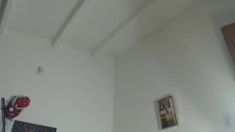  coddy  nolove online show from 5, 12, 2024