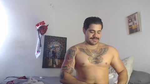  coddy  nolove online show from 22, 12, 2024