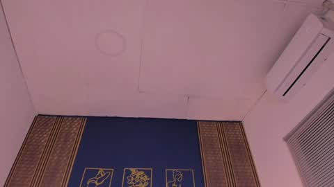 Dakota online show from 4, 12, 2024