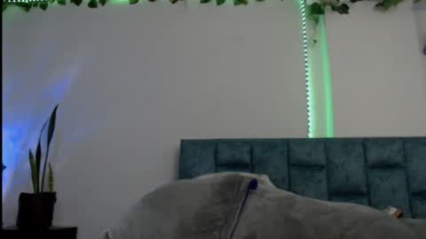 Dannia online show from 23, 1, 2025