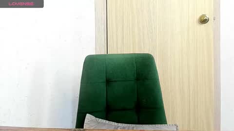 Snapshot of _feralberry__ chatting on 28, 2, 2025 Alis online show from 28, 2, 2025