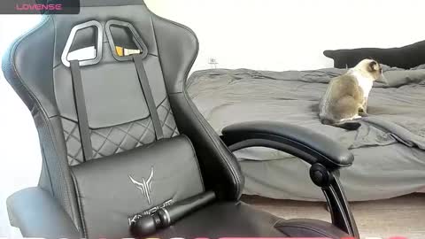 Snapshot of _feralberry__ chatting on 7, 10, 2025 Alis online show from 7, 10, 2025