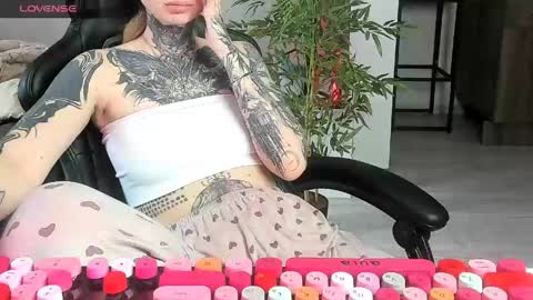 Alis online show from 3, 6, 2026