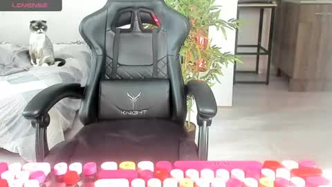 Alis online show from 20, 6, 2026