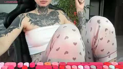 Alis online show from 25, 6, 2026