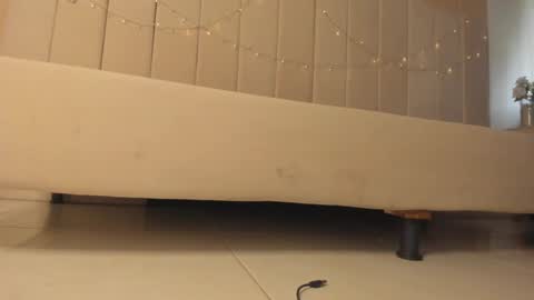 Snapshot of _frida_1 chatting on 4, 1, 2025 Frida online show from 4, 1, 2025