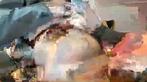 Ginger boy online show from 9, 2, 2025