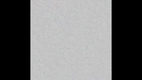 Miss Jade online show from 5, 3, 2025