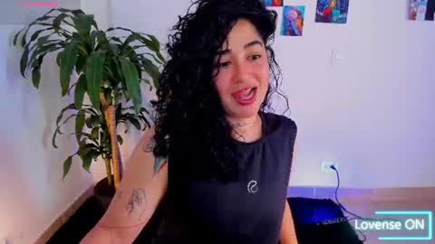     online show from 13, 6, 2026