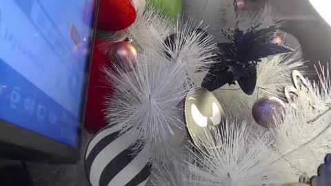 Cata  online show from 30, 11, 2025