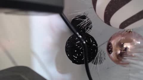 Cata  online show from 2, 12, 2025