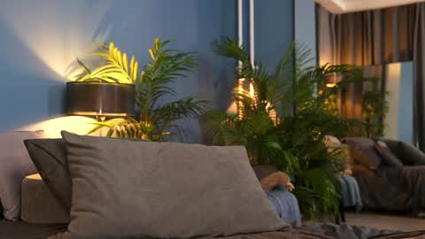 FANSLY ---   anal in private 700 tokens online show from 1, 11, 2025