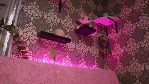 Stream  at  am in MoscowI am waiting for you very much3 online show from 26, 4, 2026