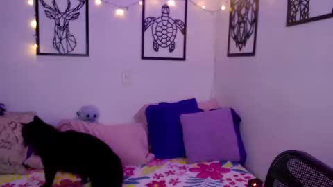 Marce  online show from 18, 1, 2025