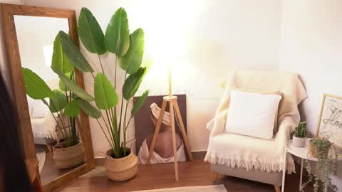 Megan online show from 29, 9, 2025